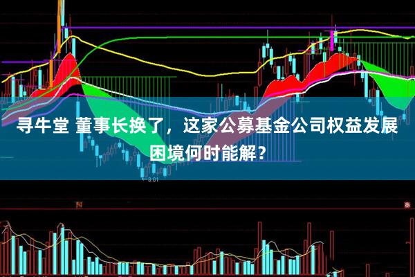 寻牛堂 董事长换了，这家公募基金公司权益发展困境何时能解？