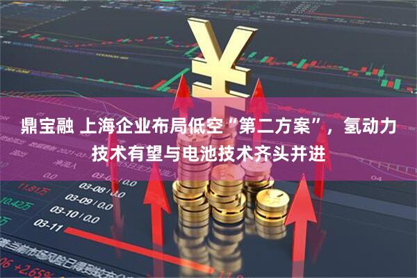 鼎宝融 上海企业布局低空“第二方案”，氢动力技术有望与电池技术齐头并进