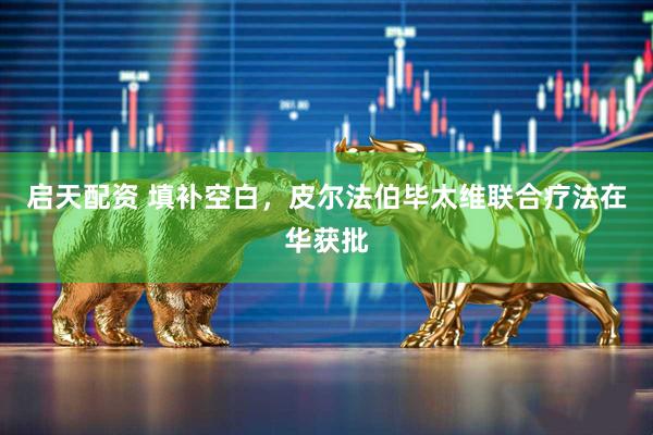 启天配资 填补空白，皮尔法伯毕太维联合疗法在华获批