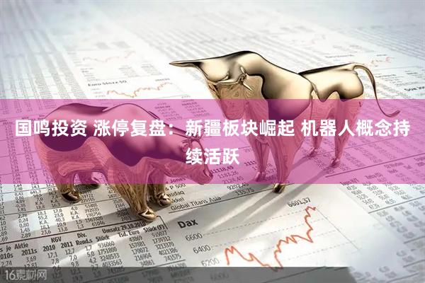 国鸣投资 涨停复盘：新疆板块崛起 机器人概念持续活跃