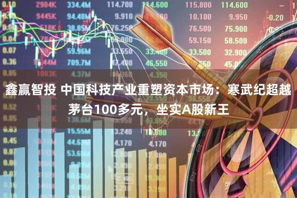鑫赢智投 中国科技产业重塑资本市场：寒武纪超越茅台100多元，坐实A股新王